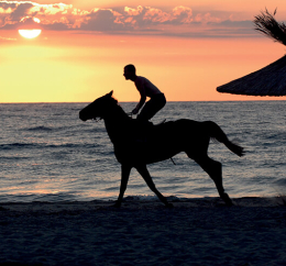 Couché de soleil plage
