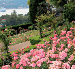 Grand jardin en Provence Alpes Côte d'Azur