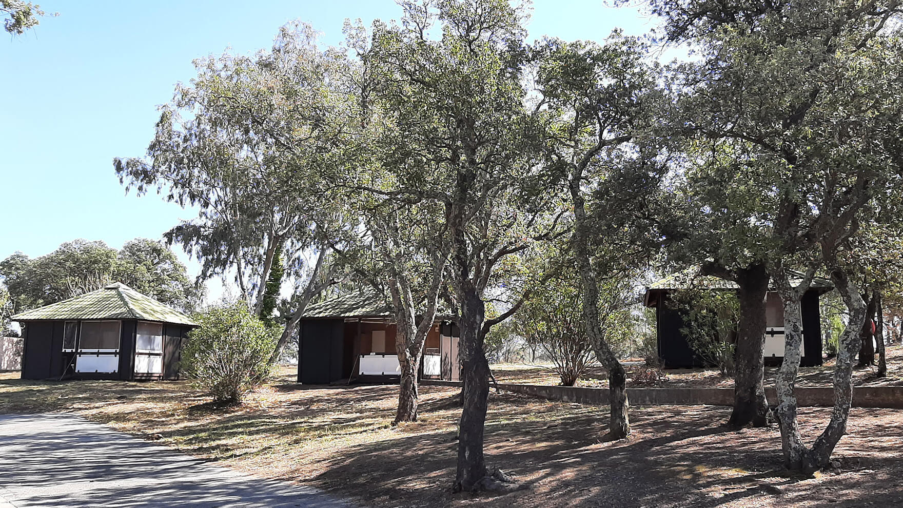 back-bananas 4/5 personnes à VTF St Aygulf