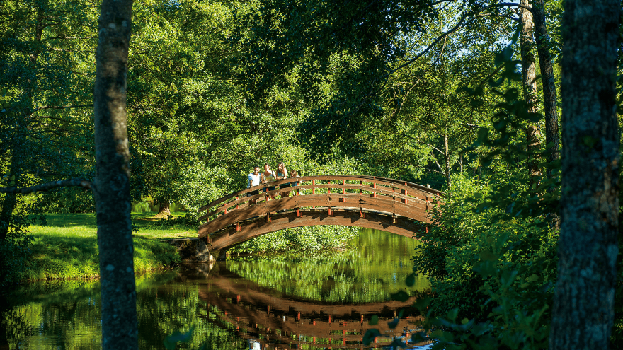 Parc en Auvergne VTF